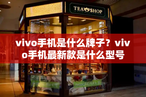 vivo手机是什么牌子？vivo手机最新款是什么型号-第1张图片-星选测评