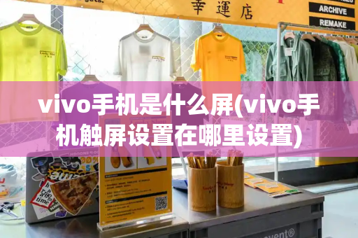 vivo手机是什么屏(vivo手机触屏设置在哪里设置)-第1张图片-星选测评