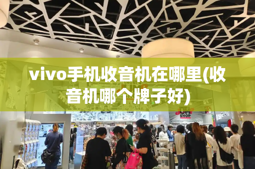 vivo手机收音机在哪里(收音机哪个牌子好)-第1张图片-星选测评