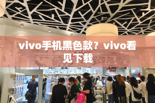 vivo手机黑色款？vivo看见下载
