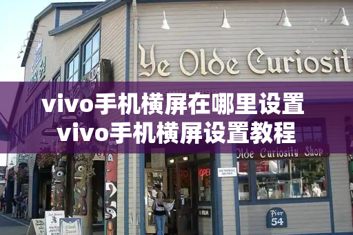vivo手机横屏在哪里设置 vivo手机横屏设置教程-第1张图片-星选测评