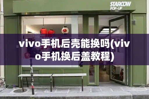 vivo手机后壳能换吗(vivo手机换后盖教程)-第1张图片-星选测评