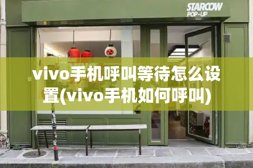 vivo手机呼叫等待怎么设置(vivo手机如何呼叫)