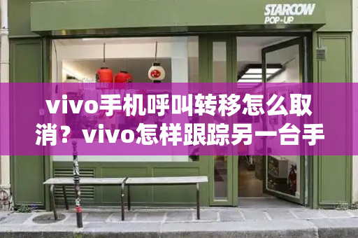 vivo手机呼叫转移怎么取消？vivo怎样跟踪另一台手机-第1张图片-星选测评