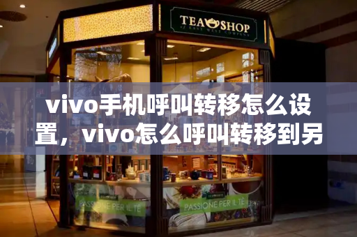 vivo手机呼叫转移怎么设置，vivo怎么呼叫转移到另一个号-第1张图片-星选测评