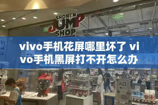 vivo手机花屏哪里坏了 vivo手机黑屏打不开怎么办