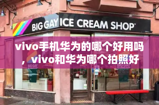 vivo手机华为的哪个好用吗，vivo和华为哪个拍照好-第1张图片-星选测评