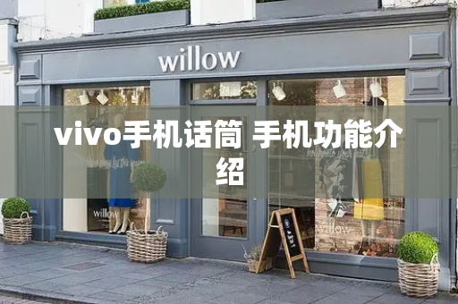 vivo手机话筒 手机功能介绍-第1张图片-星选测评