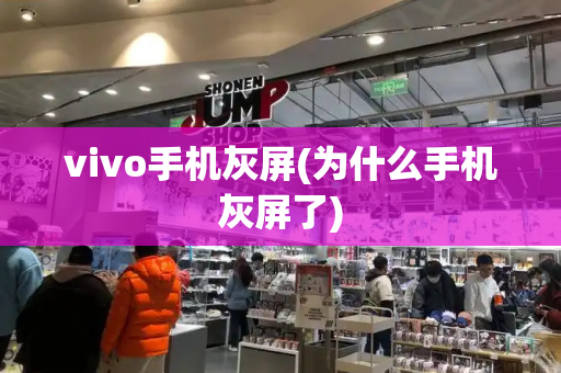 vivo手机灰屏(为什么手机灰屏了)