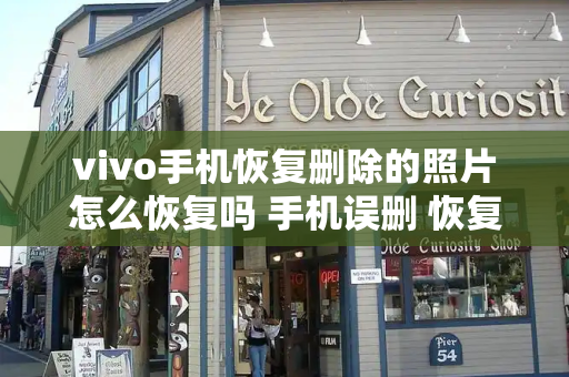 vivo手机恢复删除的照片怎么恢复吗 手机误删 恢复