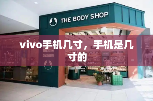 vivo手机几寸，手机是几寸的-第1张图片-星选测评