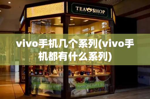 vivo手机几个系列(vivo手机都有什么系列)-第1张图片-星选测评