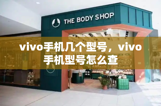 vivo手机几个型号，vivo手机型号怎么查-第1张图片-星选测评