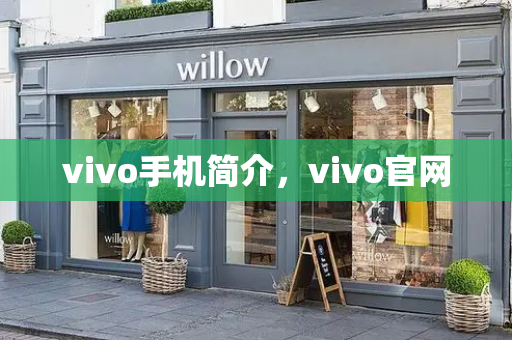 vivo手机简介，vivo官网