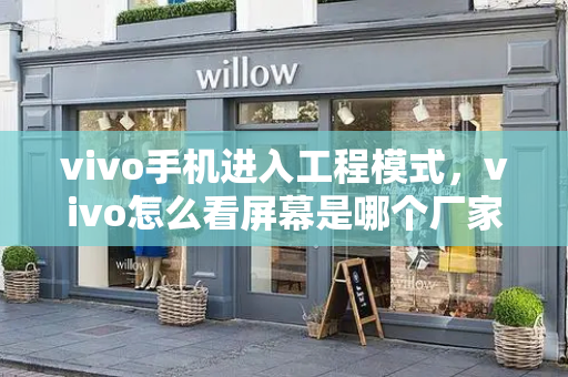 vivo手机进入工程模式，vivo怎么看屏幕是哪个厂家的
