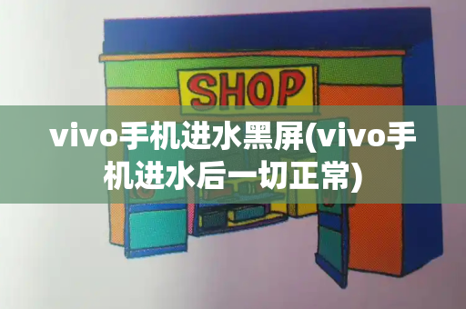 vivo手机进水黑屏(vivo手机进水后一切正常)