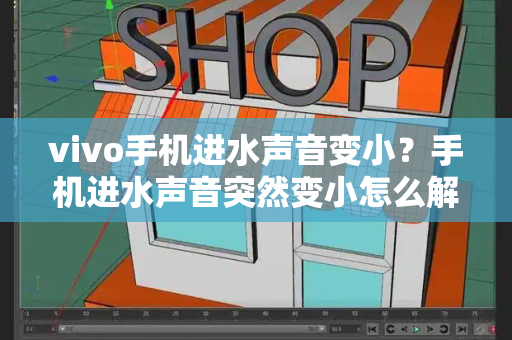 vivo手机进水声音变小？手机进水声音突然变小怎么解决