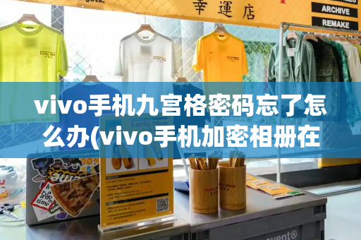 vivo手机九宫格密码忘了怎么办(vivo手机加密相册在哪)