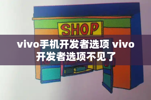 vivo手机开发者选项 vivo开发者选项不见了