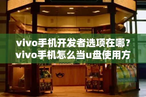 vivo手机开发者选项在哪？vivo手机怎么当u盘使用方法