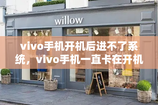 vivo手机开机后进不了系统，vivo手机一直卡在开机界面怎么办-第1张图片-星选测评
