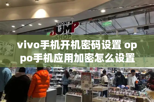 vivo手机开机密码设置 oppo手机应用加密怎么设置-第1张图片-星选测评