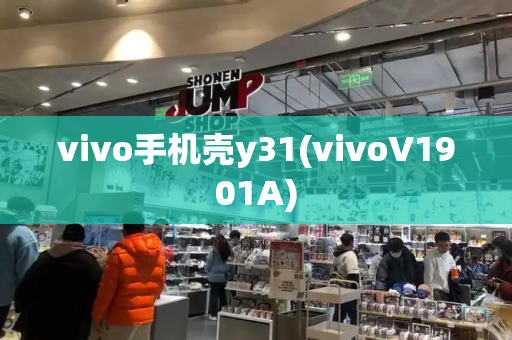 vivo手机壳y31(vivoV1901A)-第1张图片-星选测评
