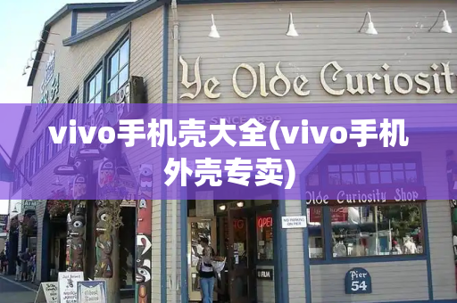 vivo手机壳大全(vivo手机外壳专卖)