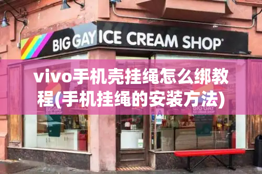 vivo手机壳挂绳怎么绑教程(手机挂绳的安装方法)-第1张图片-星选测评