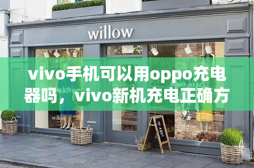 vivo手机可以用oppo充电器吗，vivo新机充电正确方法