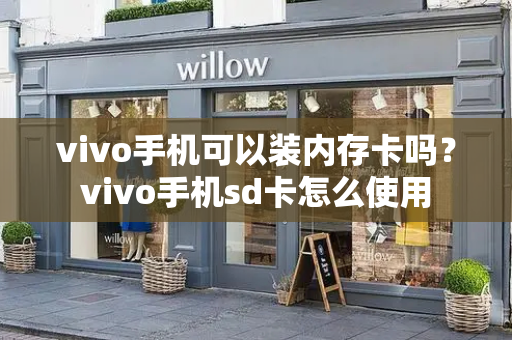 vivo手机可以装内存卡吗？vivo手机sd卡怎么使用-第1张图片-星选测评