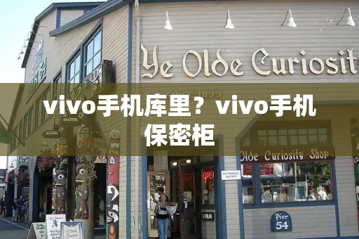 vivo手机库里？vivo手机保密柜-第1张图片-星选测评