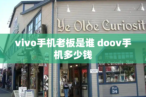 vivo手机老板是谁 doov手机多少钱-第1张图片-星选测评