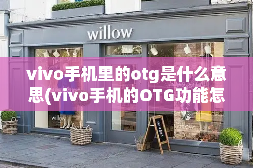 vivo手机里的otg是什么意思(vivo手机的OTG功能怎么打开)-第1张图片-星选测评