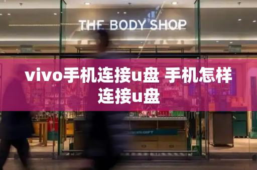 vivo手机连接u盘 手机怎样连接u盘