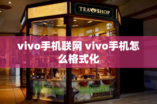 vivo手机联网 vivo手机怎么格式化-第1张图片-星选测评