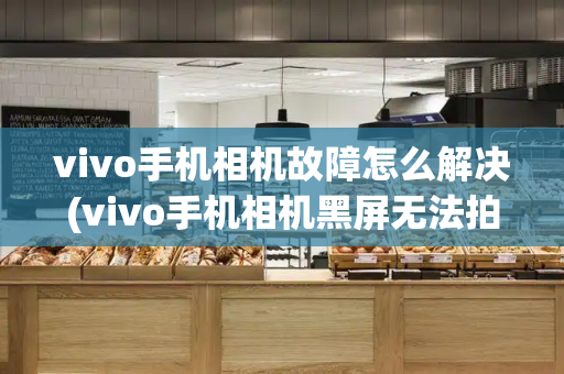 vivo手机相机故障怎么解决(vivo手机相机黑屏无法拍照怎么办)