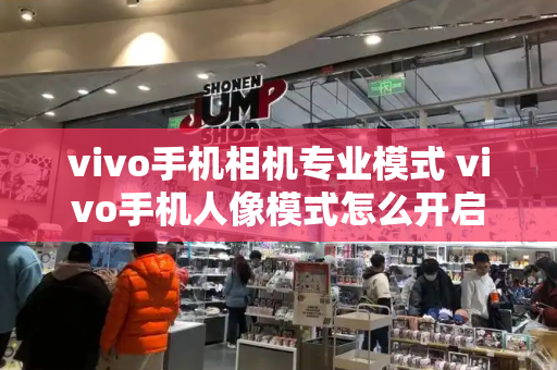 vivo手机相机专业模式 vivo手机人像模式怎么开启