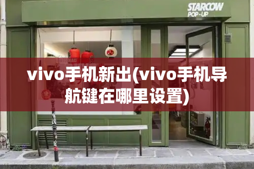vivo手机新出(vivo手机导航键在哪里设置)-第1张图片-星选测评