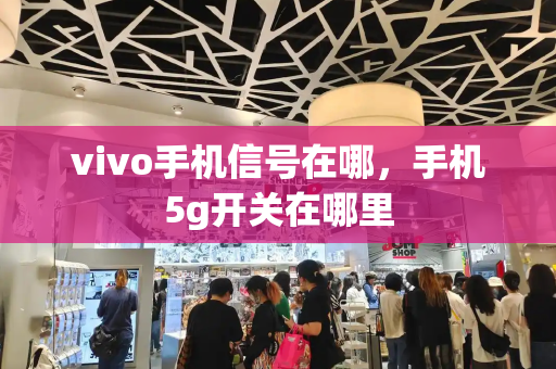 vivo手机信号在哪，手机5g开关在哪里-第1张图片-星选测评