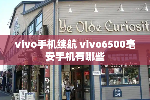 vivo手机续航 vivo6500毫安手机有哪些