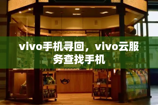 vivo手机寻回，vivo云服务查找手机