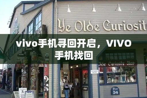 vivo手机寻回开启，VIVO手机找回