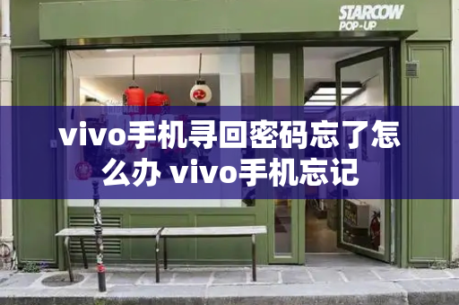 vivo手机寻回密码忘了怎么办 vivo手机忘记