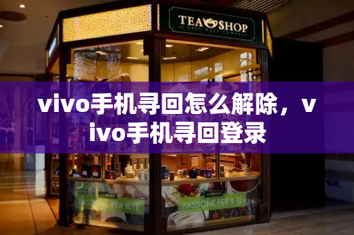 vivo手机寻回怎么解除，vivo手机寻回登录