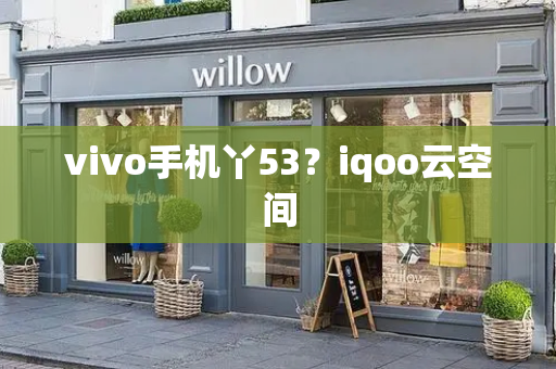 vivo手机丫53？iqoo云空间