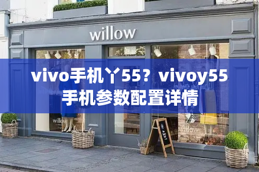 vivo手机丫55？vivoy55手机参数配置详情-第1张图片-星选测评