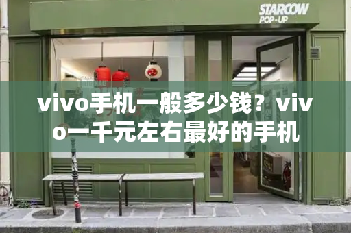 vivo手机一般多少钱？vivo一千元左右最好的手机-第1张图片-星选测评