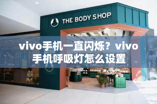 vivo手机一直闪烁？vivo手机呼吸灯怎么设置-第1张图片-星选测评