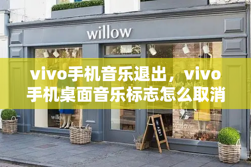 vivo手机音乐退出，vivo手机桌面音乐标志怎么取消
